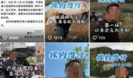 五哥商洛爆料视频大全,揭秘商洛风云录